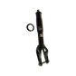 Holey Moley Fork